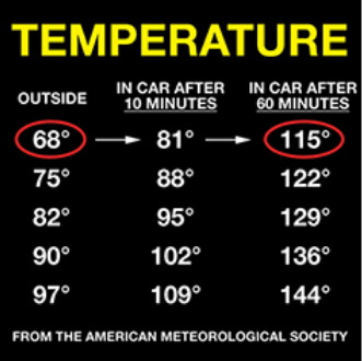Temperature chart of outdoor temperature as compared to temperature inside car
