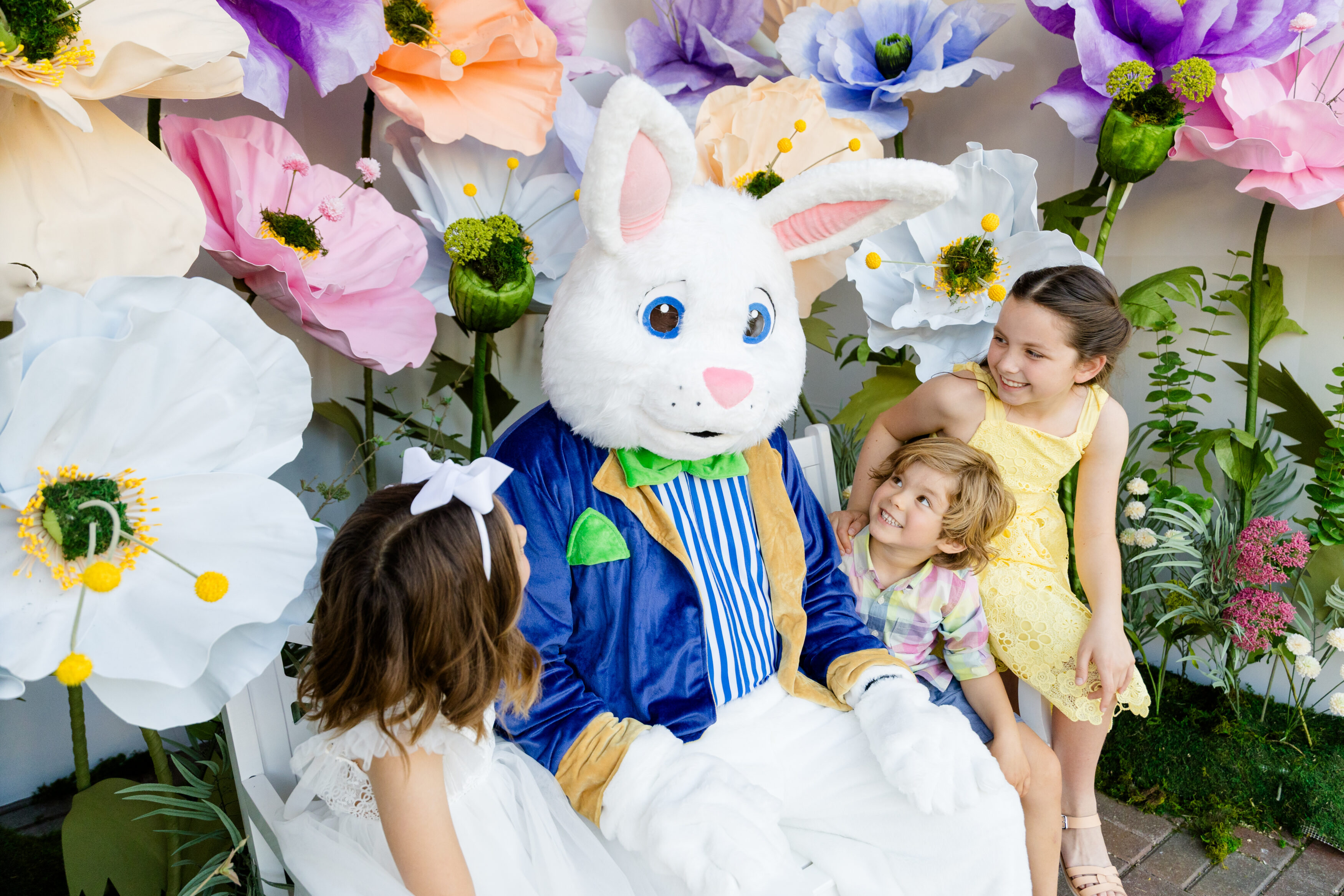 BunnyInstallation2025-5319