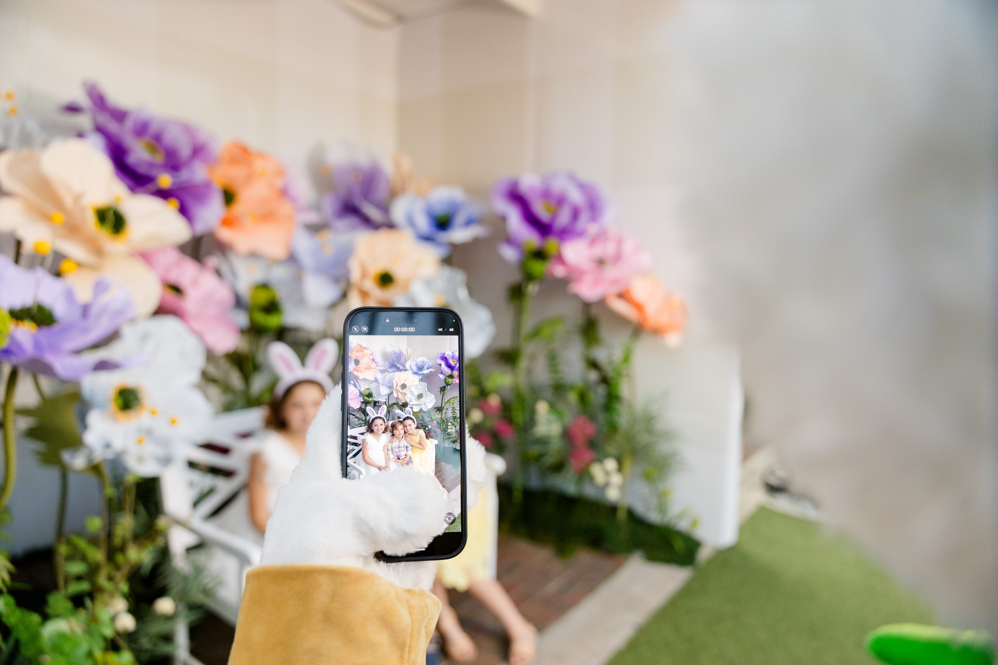 BunnyInstallation2025-5650